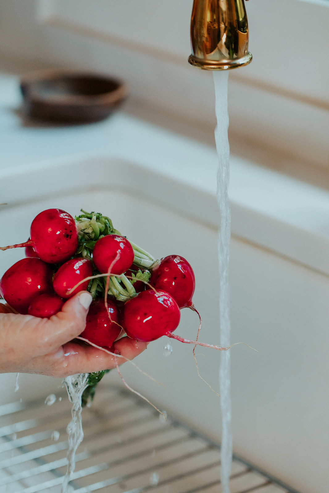 Deep red colored vegetables to boost akkermansia